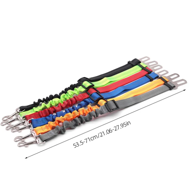 ceinture sécurité pour chien