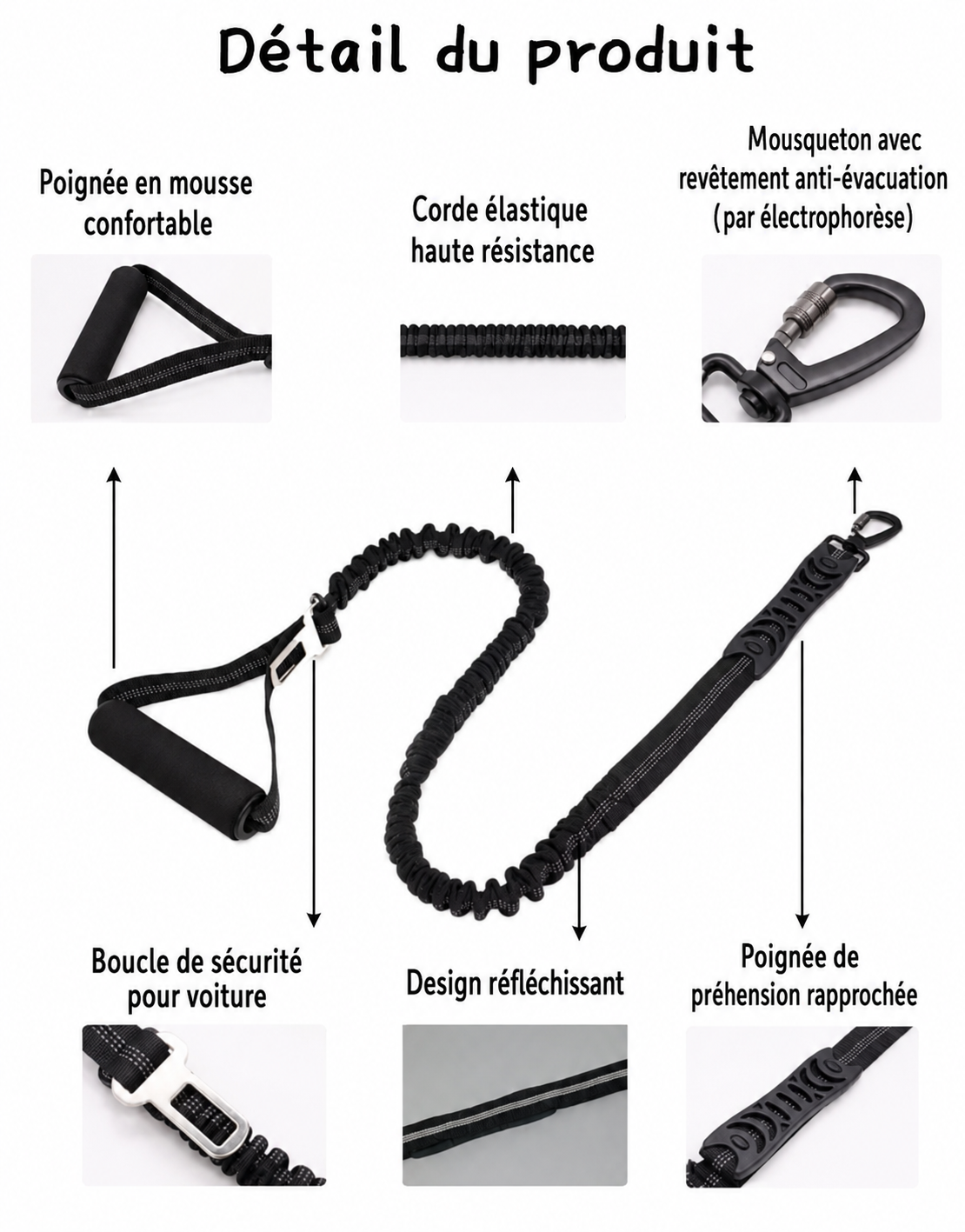 Laisse pour chien