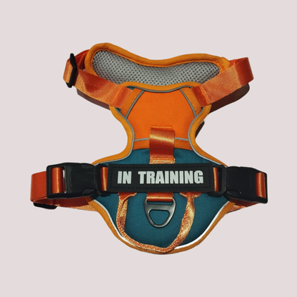 Harnais pour chien réglable et respirant, Orange dominant et bleu canard