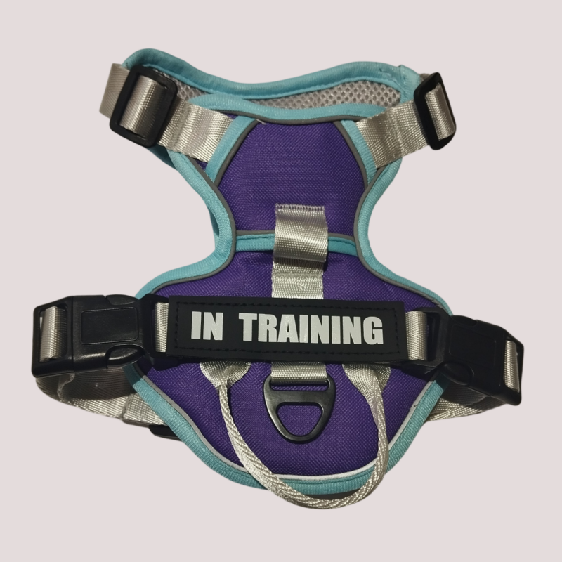 Harnais pour chien réglable et respirant, Violet et bleu clair