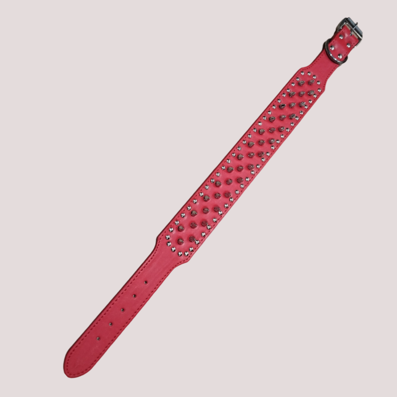 Collier à clou pour chien en cuir synthétique, vue 10