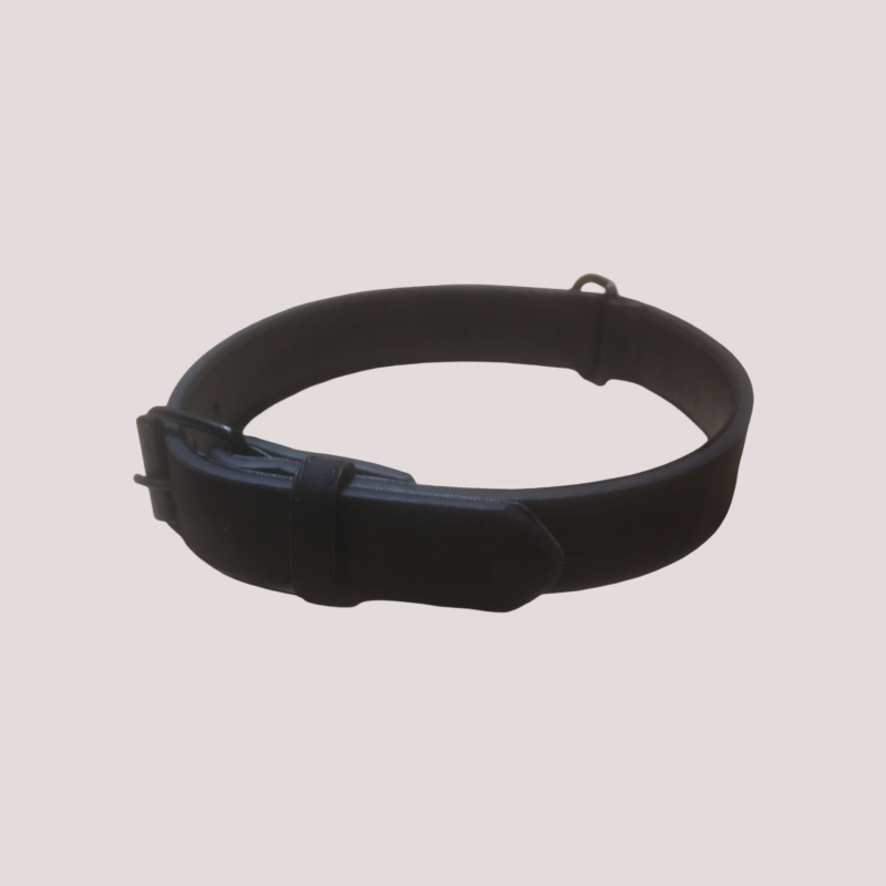 Collier pour chien à boucle, cinq points de réglage, Noir