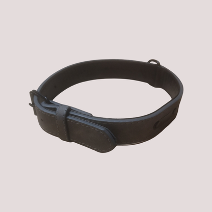 Collier pour chien à boucle, cinq points de réglage, Gris