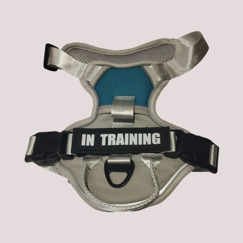 Harnais pour chien réglable et respirant, Gris et bleu canard
