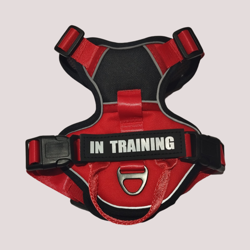 Harnais pour chien réglable et respirant, Rouge et noir