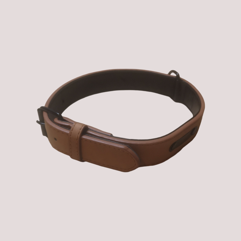 Collier pour chien à boucle, cinq points de réglage, Marron