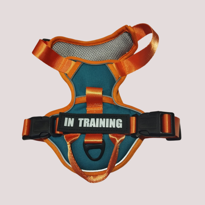 Harnais pour chien réglable et respirant, Bleu canard dominant et orange