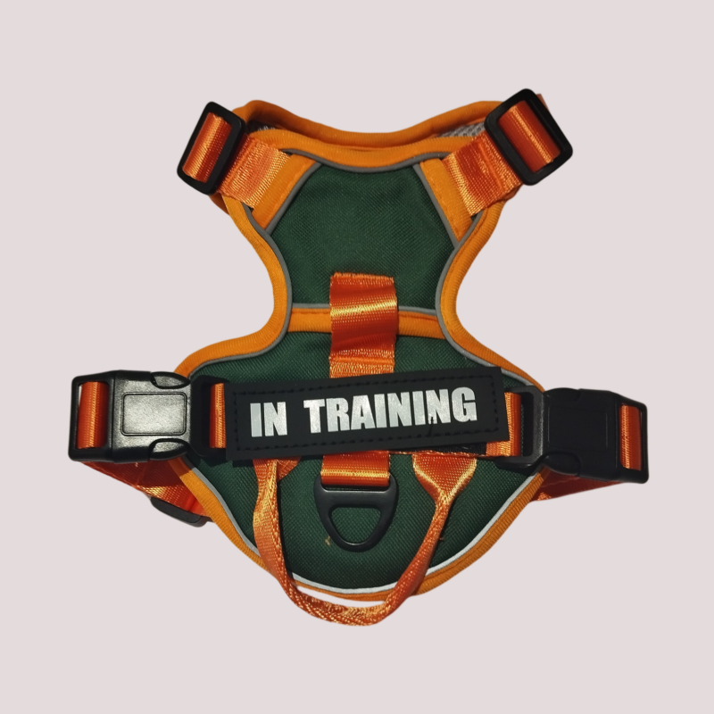 Harnais pour chien réglable et respirant, Orange et vert foncé