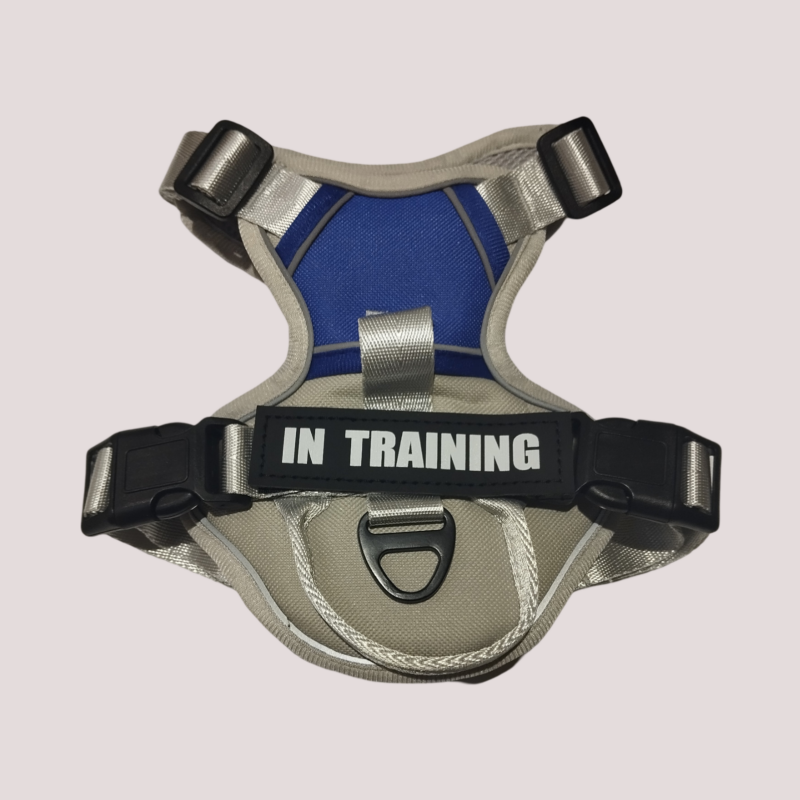 Harnais pour chien réglable et respirant, Gris et bleu foncé