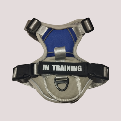 Harnais pour chien réglable et respirant, Gris et bleu foncé