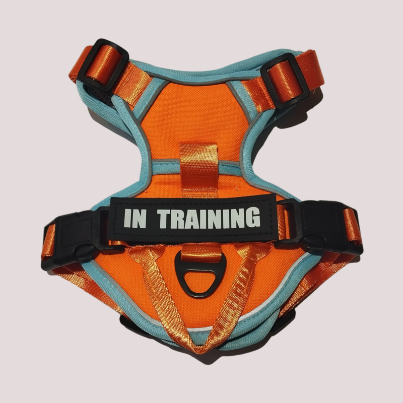Harnais pour chien réglable et respirant, Orange et bleu clair
