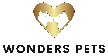 En-tete Dawn, logo principal
